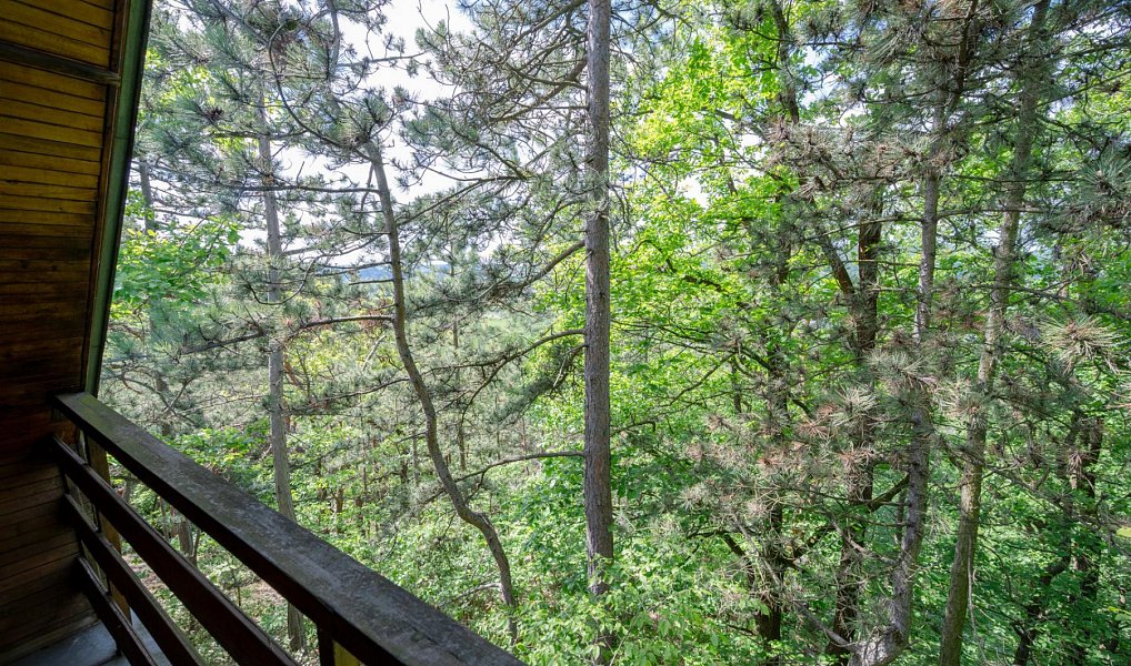 Prodej chaty/chalupy 33 m² s pozemkem 33 m², Dobřichovice – náhled fotky 2