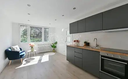 Prodej bytu 2+kk 39 m²