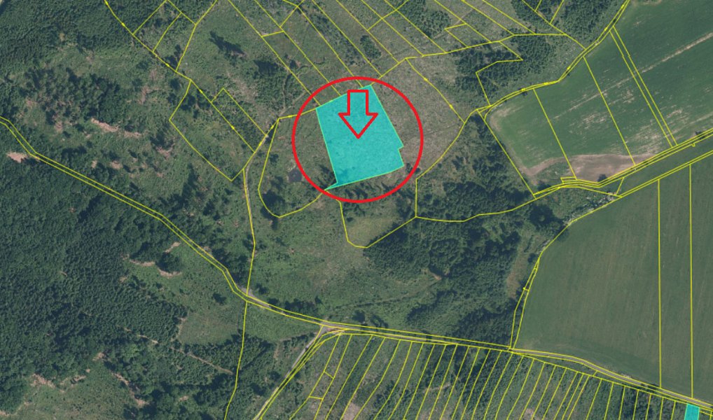 Prodej lesa 34 704 m², Mrákov – náhled fotky 22
