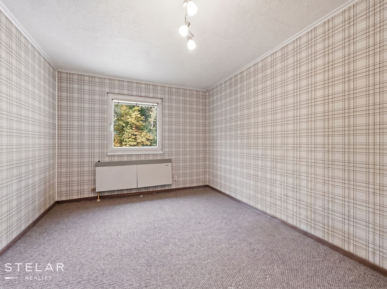 Prodej domu 296 m² s pozemkem 855 m² – fotografie 5