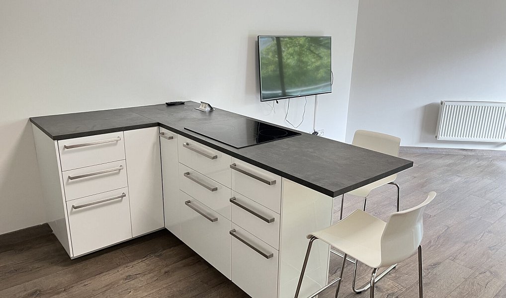 Pronájem bytu 2+kk 78 m², Ostrava – náhled fotky 6