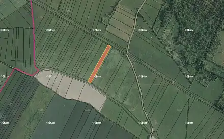 Prodej pole 4 432 m², Borkovice, okres Tábor