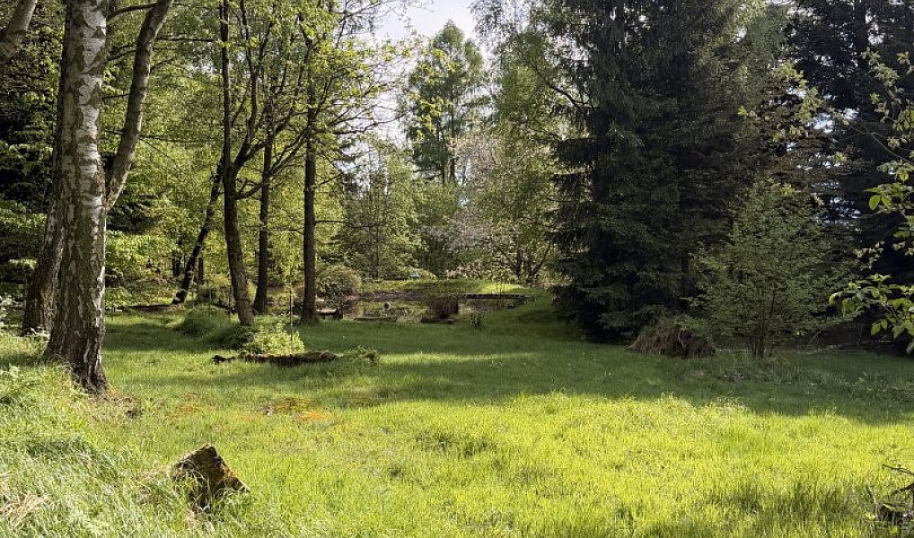 Prodej louky 8 717 m², Frýdlant – náhled fotky 4