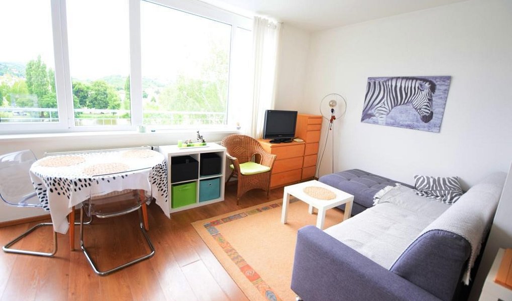 Pronájem bytu 1+kk 40 m², Beroun – náhled fotky 8