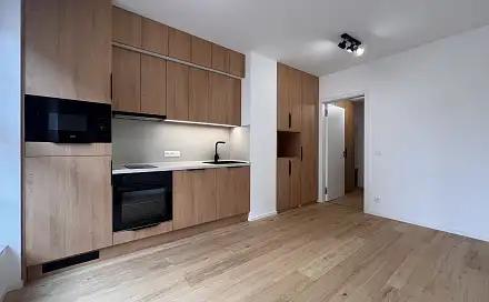 Pronájem bytu 1+kk 24 m²