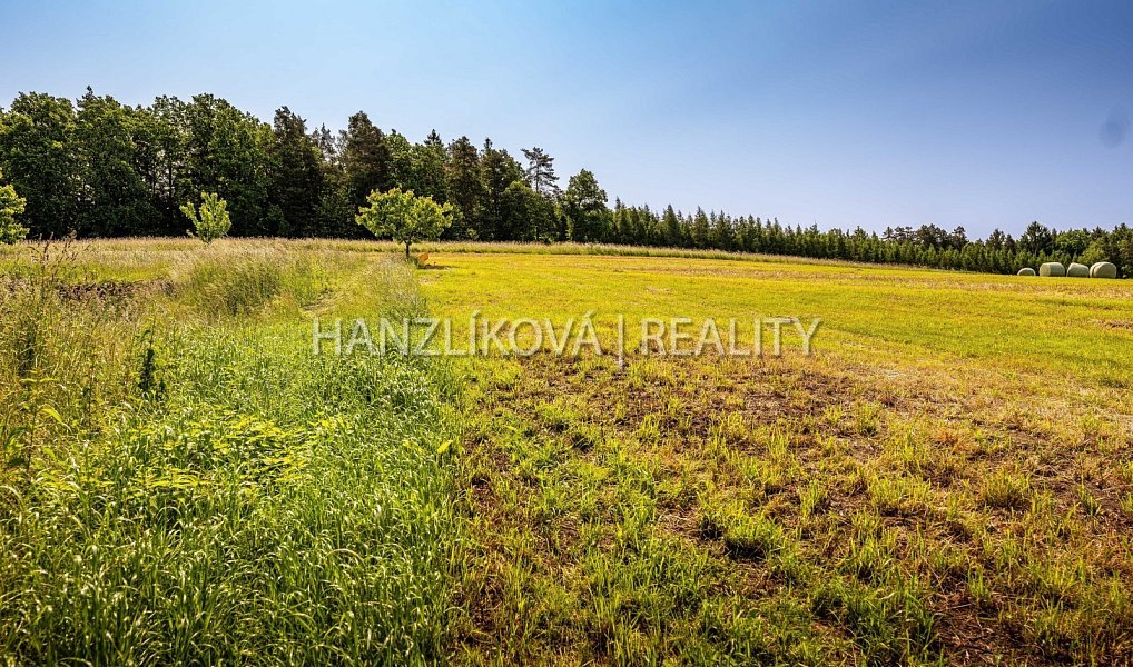 Prodej stavebního pozemku 4 385 m², Dubičné – náhled fotky 9