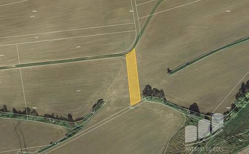 Prodej pole 1 975 m², Petrovice, okres Rakovník