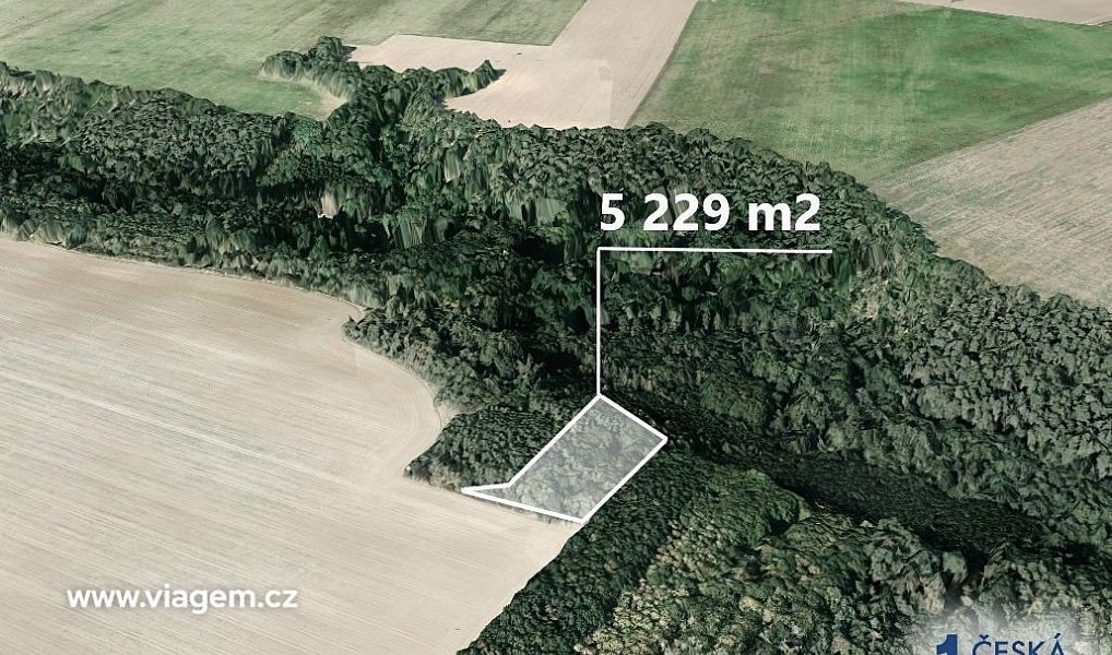 Prodej lesa 980 m², Mělnické Vtelno – náhled fotky 2