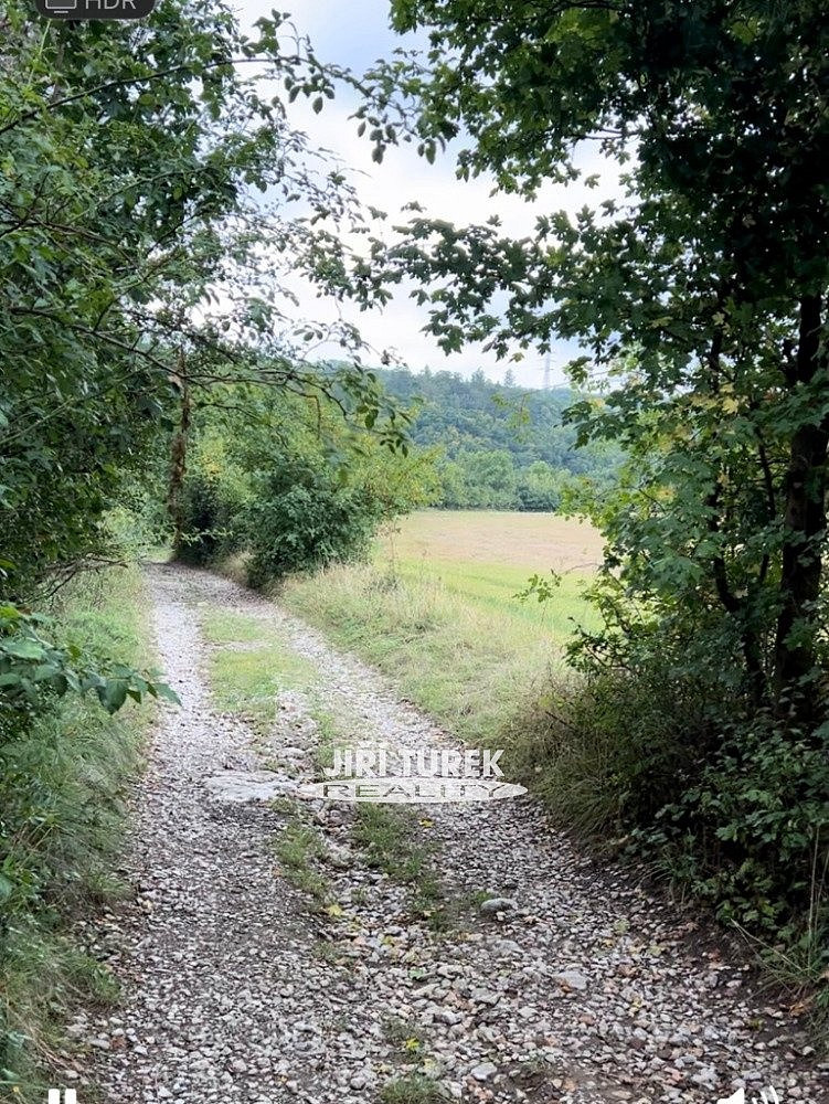 Prodej komerčního objektu (jiného typu) 21 m² – fotografie 3
