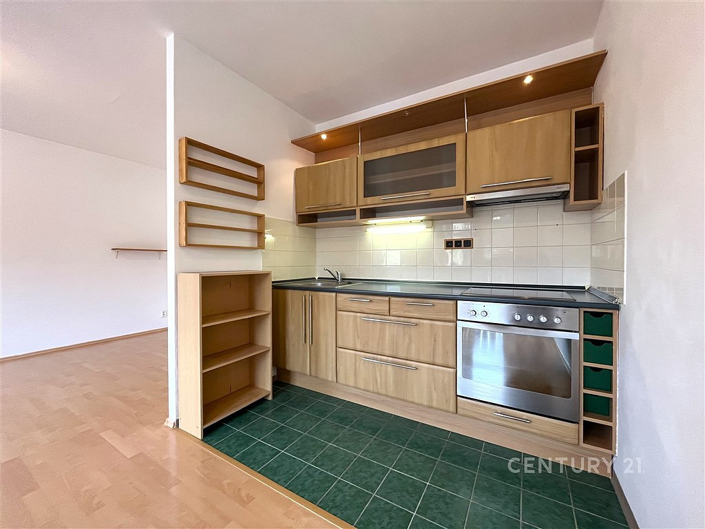 Pronájem bytu 1+kk 49 m²