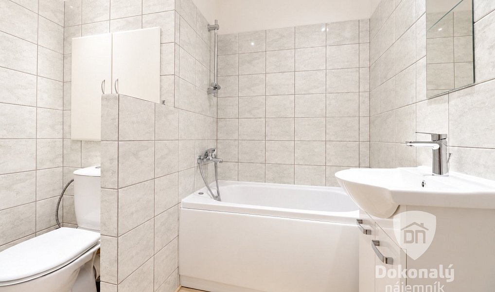 Pronájem bytu 1+1 30 m², Praha – náhled fotky 3