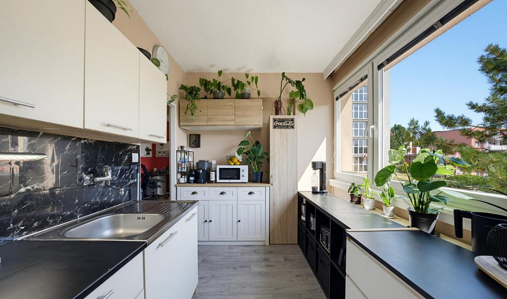 Prodej bytu 2+1 50 m², Třebíč – náhled fotky 2
