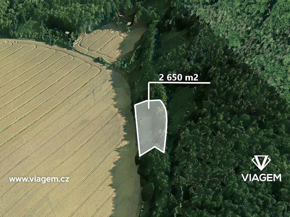 Prodej pole 2 650 m²