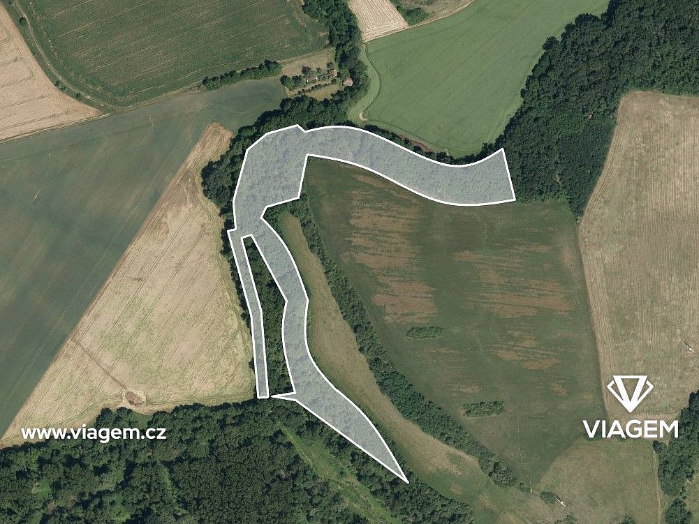 Les 26 903 m², Podíl 8 % o výměře 2 069 m² – pohled 2