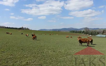 Prodej stavebního pozemku 7 774 m², Janovice nad Úhlavou, okres Klatovy