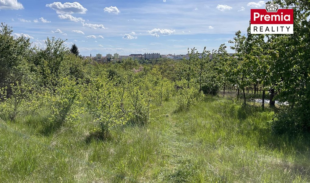 Prodej zahrady 2 423 m², Znojmo – náhled fotky 11