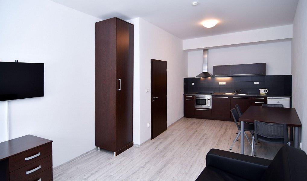 Pronájem bytu 2+kk 45 m², Brno – náhled fotky 6