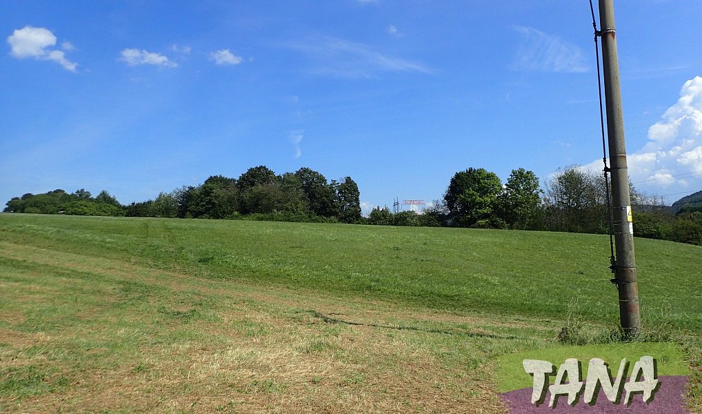 Prodej louky 49 051 m², Hodkovice nad Mohelkou – náhled fotky 10