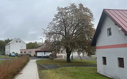 Prodej obchodních prostor 101 m², Mírová, okres Karlovy Vary