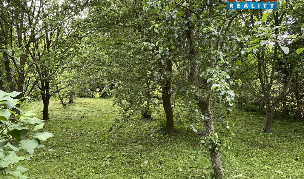 Prodej zahrady 718 m², Světlá Hora – náhled fotky 3