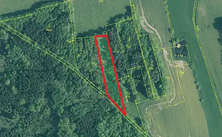 Prodej lesa 5 564 m², Skály, okres Písek