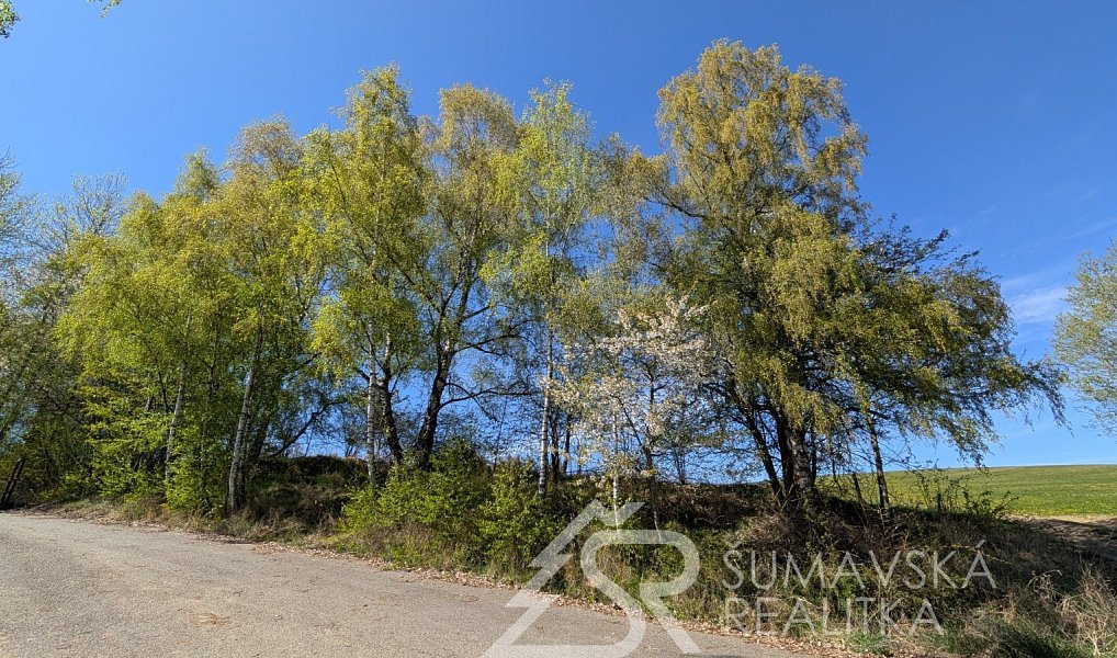 Prodej pozemku 327 m², Dlouhá Ves – náhled fotky 6