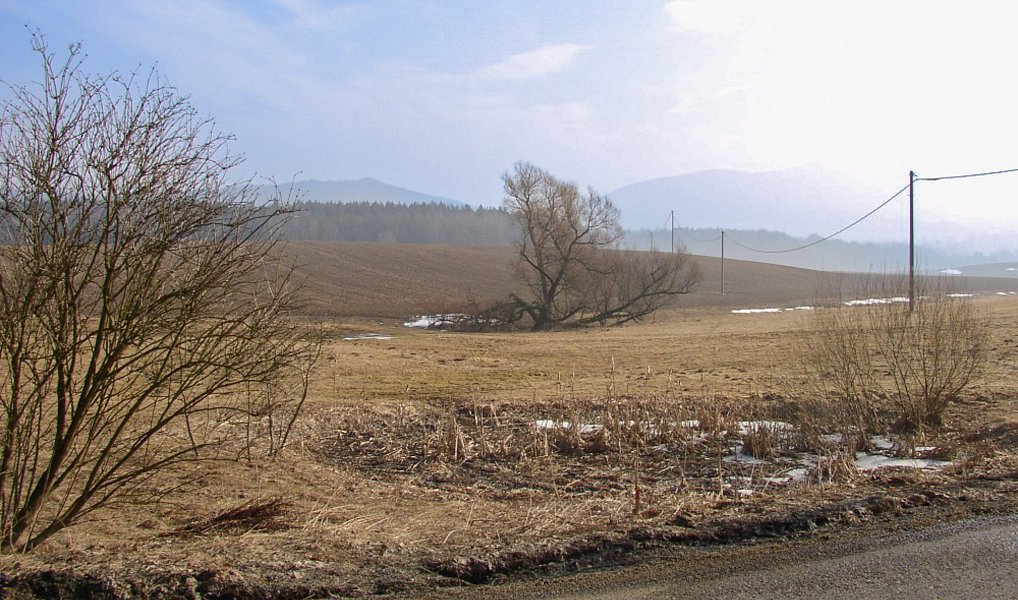 Prodej zahrady 1 205 m², Rynoltice – náhled fotky 13