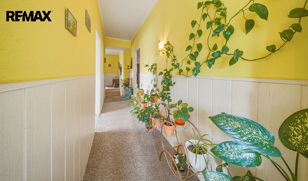 Prodej domu 257 m² s pozemkem 662 m², Nový Bor – náhled fotky 56