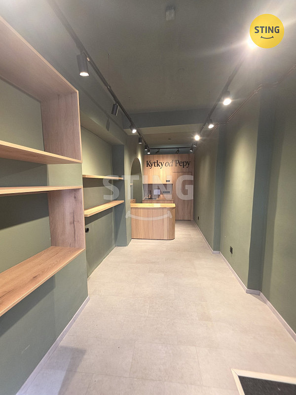 Pronájem obchodních prostor 35 m² – fotografie 4