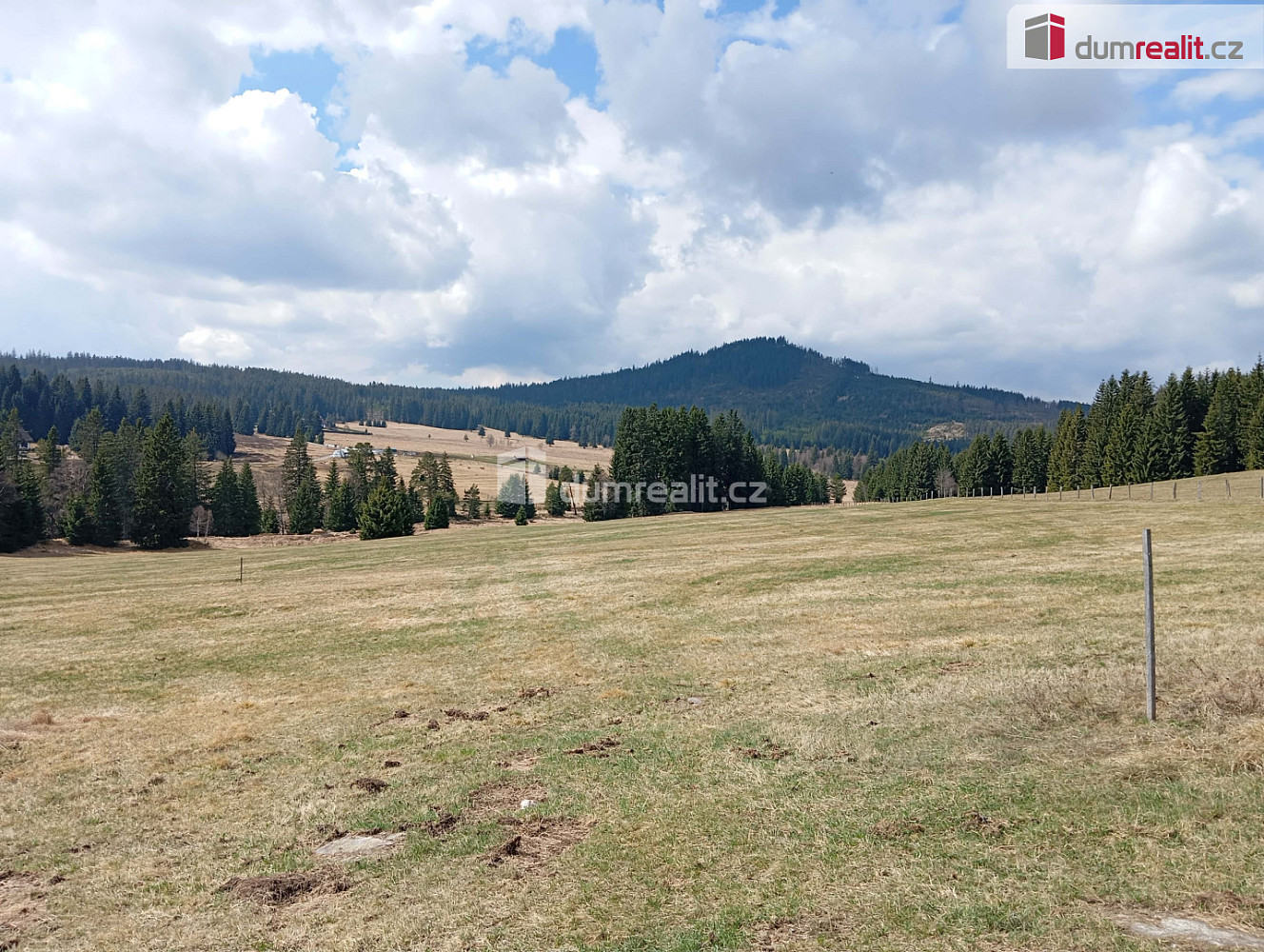 Prodej louky 1 321 m² – fotografie 3