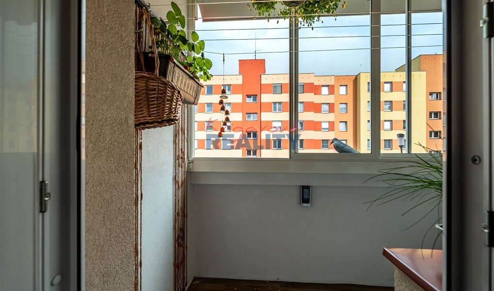 Prodej bytu 4+1 78 m², České Budějovice – náhled fotky 18