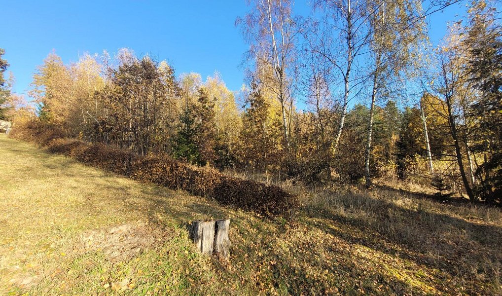 Prodej louky 6 834 m², Železný Brod – náhled fotky 3