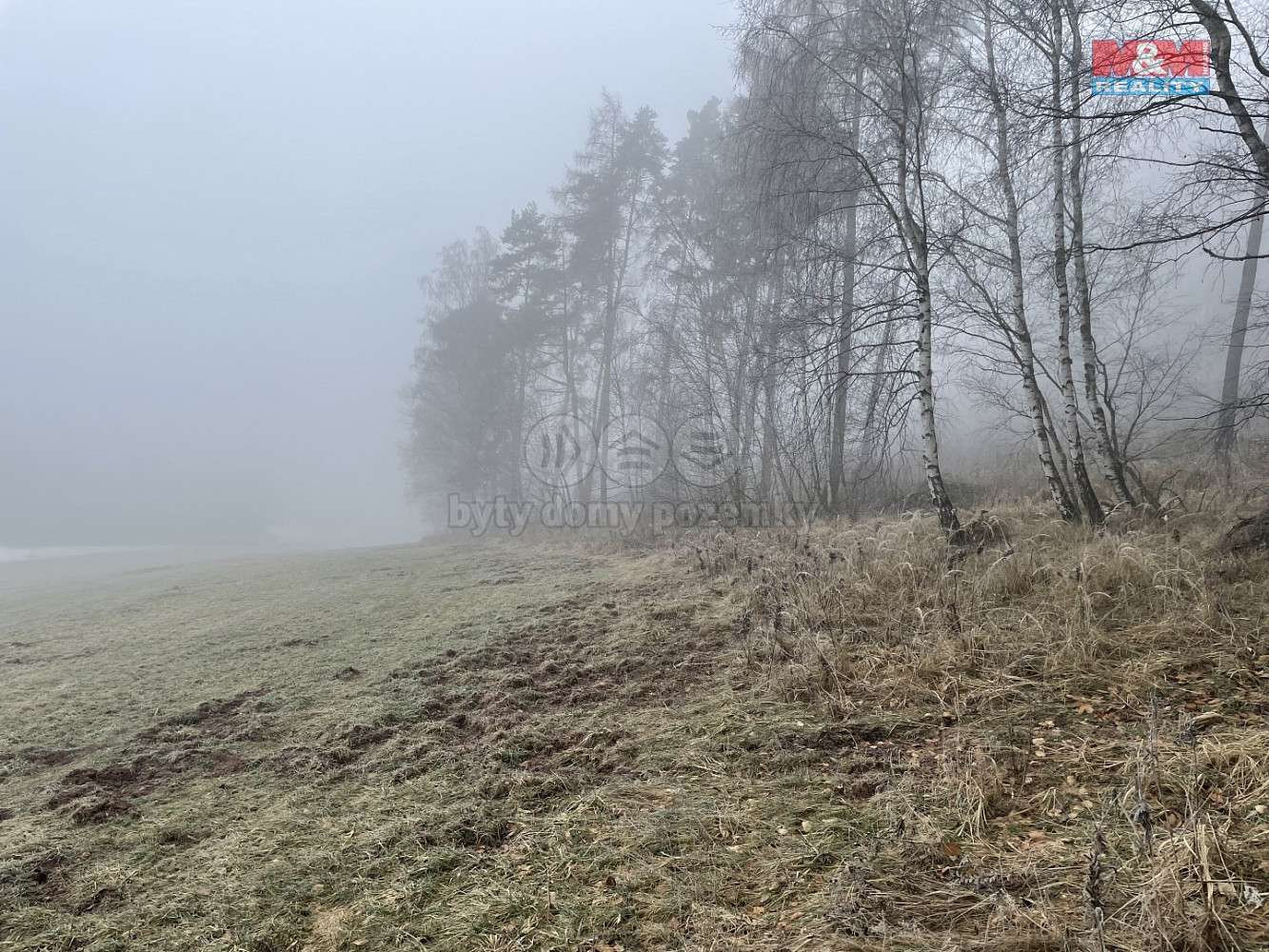 Prodej lesa 20 974 m² – fotografie 4
