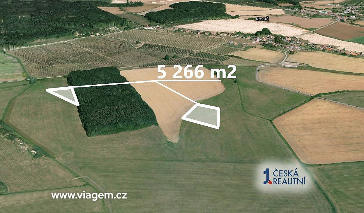 Prodej pole 2 633 m² – fotografie 2