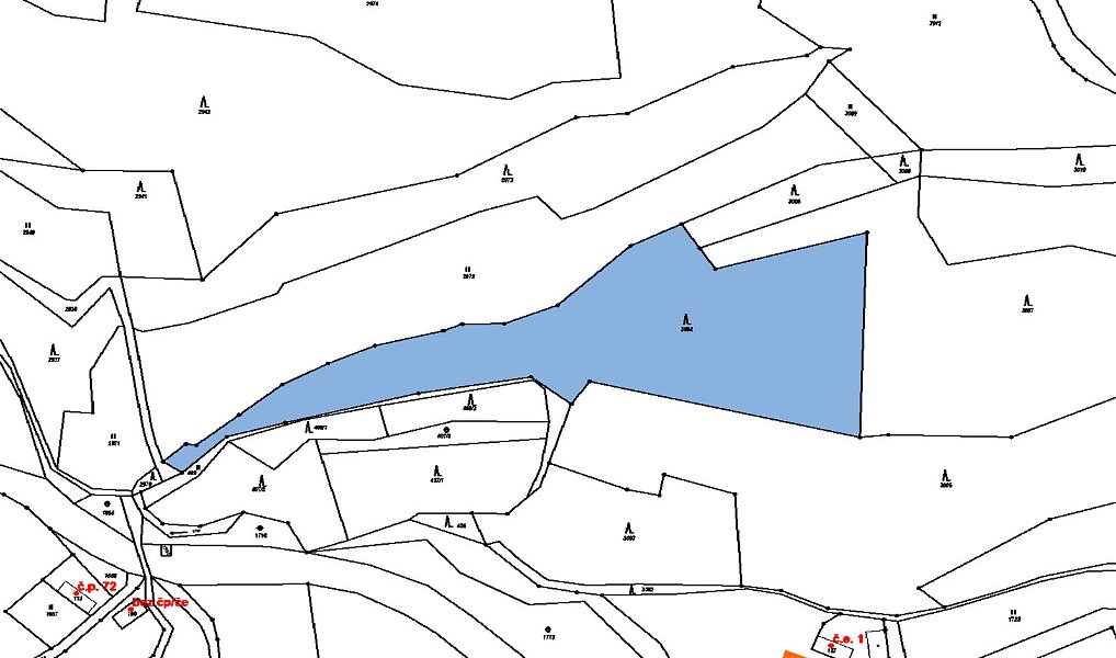 Prodej lesa 2 332 m², Lutonina – náhled fotky 2