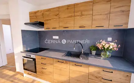 Pronájem bytu 3+kk 85 m², Podkrušnohorská, Litvínov - Hamr, okres Most