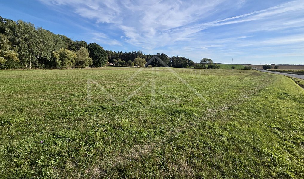 Prodej louky 20 304 m², Česká Bříza – náhled fotky 3