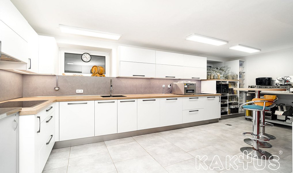 Prodej domu 462 m² s pozemkem 30 521 m², Bordovice – náhled fotky 16