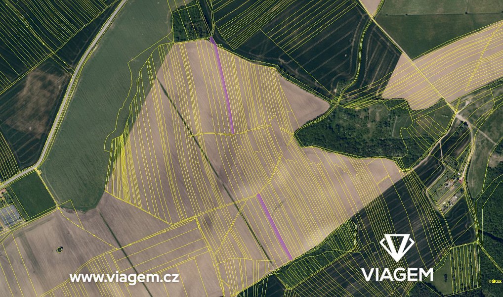 Prodej pole 1 216 m², Koryčany – náhled fotky 4