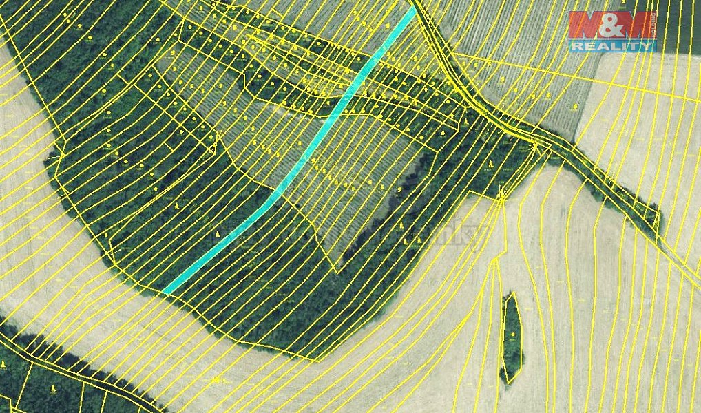 Prodej lesa 553 m², Křepice – náhled fotky 5