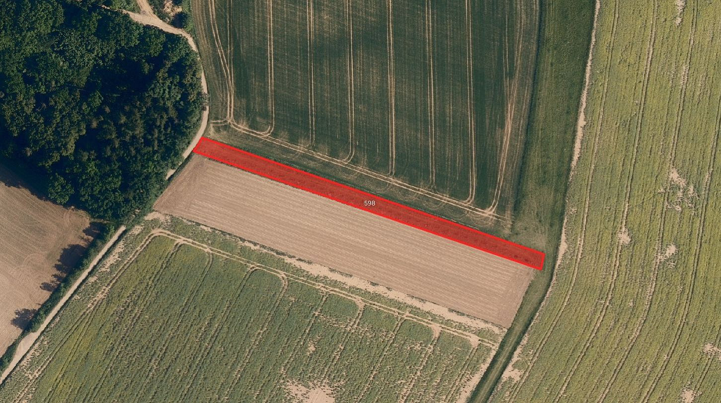 Prodej pole 11 060 m² — photo 5