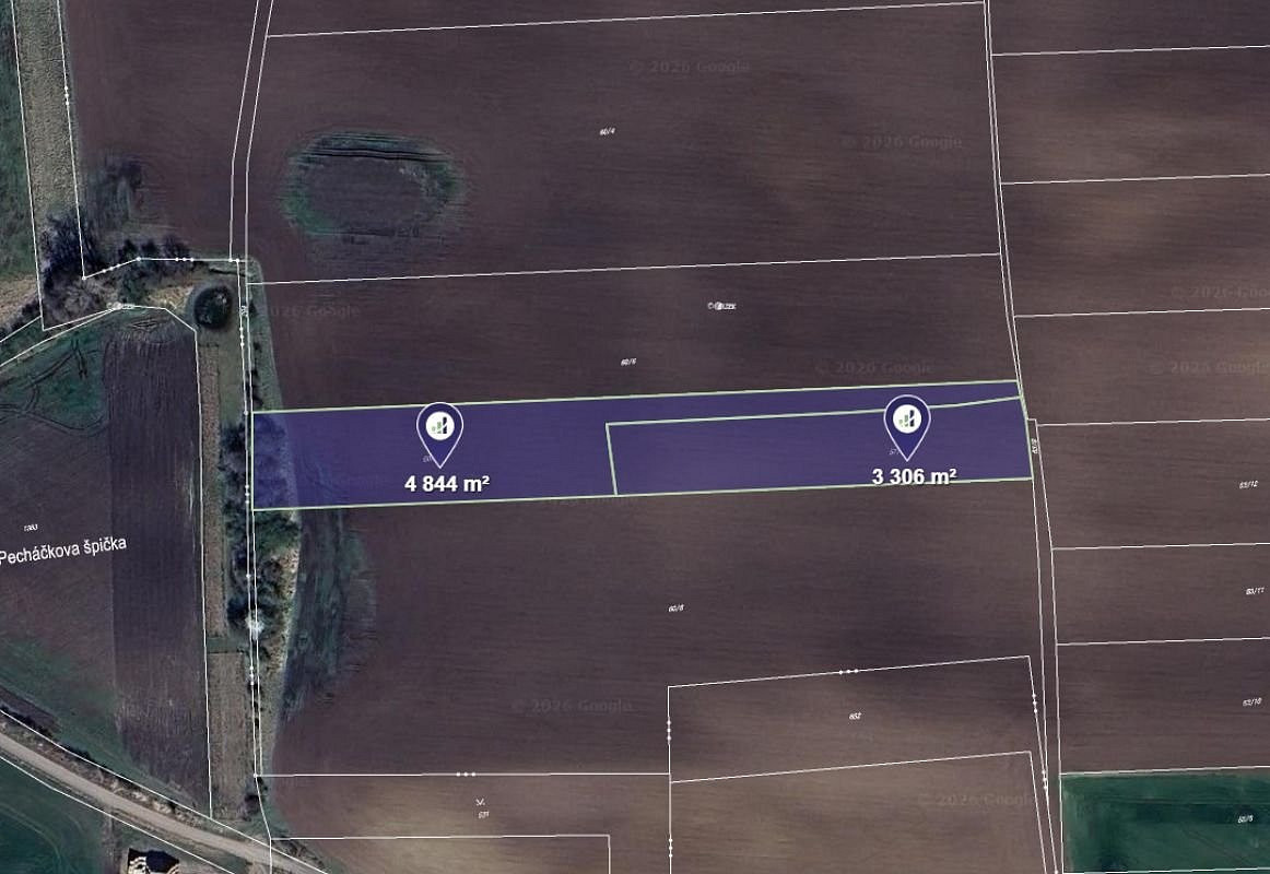 Prodej pole 8 150 m²