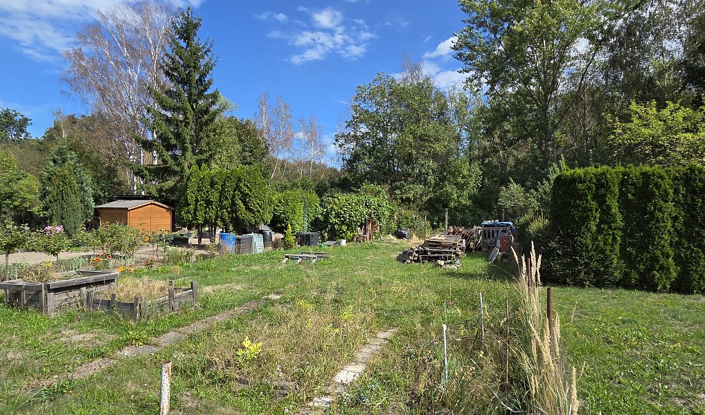 Pronájem zahrady 200 m², Rybitví – náhled fotky 6