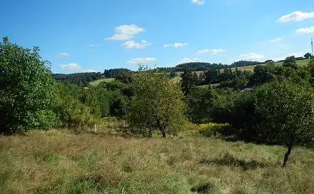 Prodej stavebního pozemku 4 736 m², Sedlčany - Sestrouň, okres Příbram