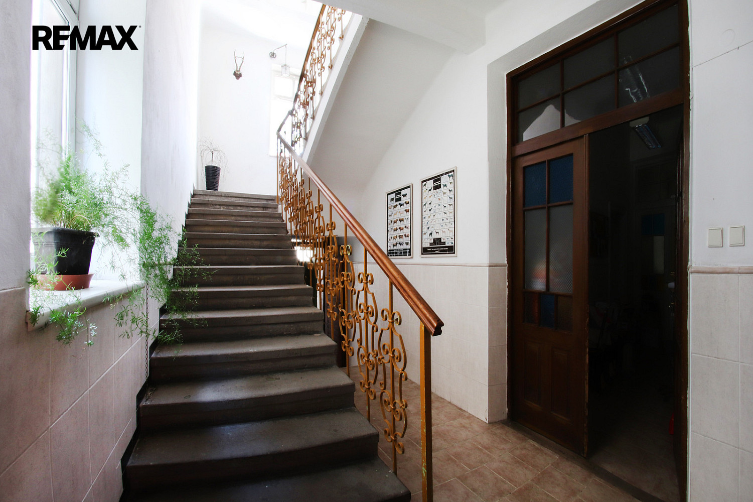 Prodej komerčního objektu (jiného typu) 350 m² — photo 3