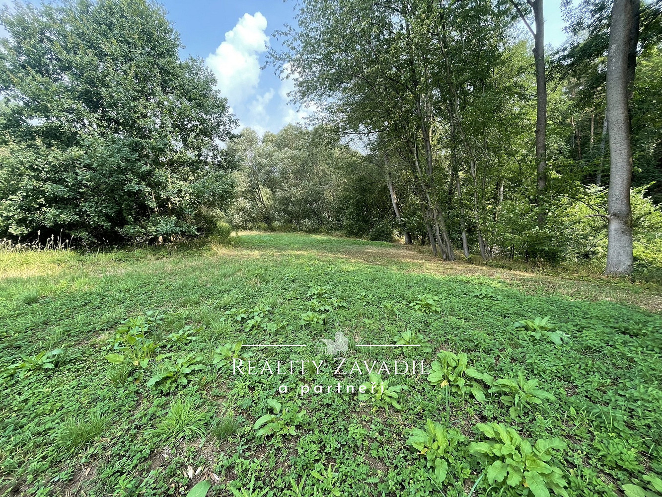 Prodej zahrady 2 586 m² – fotografie 3
