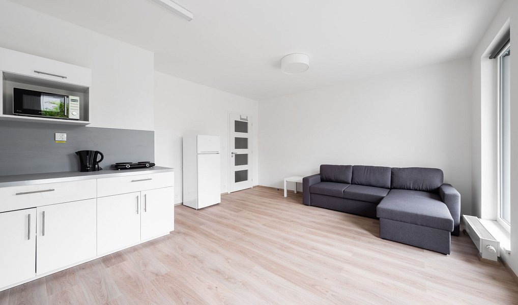 Pronájem bytu 1+kk 36 m², Plzeň – náhled fotky 5