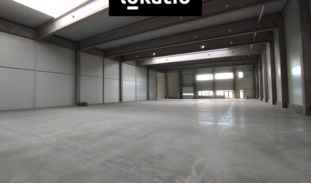 Pronájem skladovacích prostor 3 600 m², Kralupy nad Vltavou – náhled fotky 5