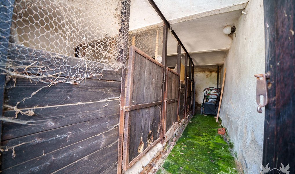Prodej domu 95 m² s pozemkem 1 544 m², Čestice – náhled fotky 21