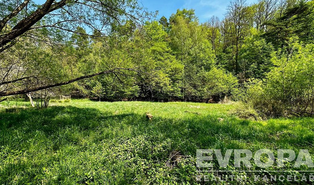 Prodej domu 350 m² s pozemkem 5 913 m², Dubá – náhled fotky 19